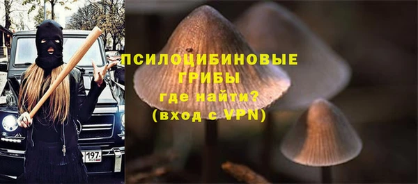 прущие крисы Строитель