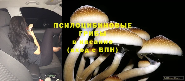 прущие крисы Строитель