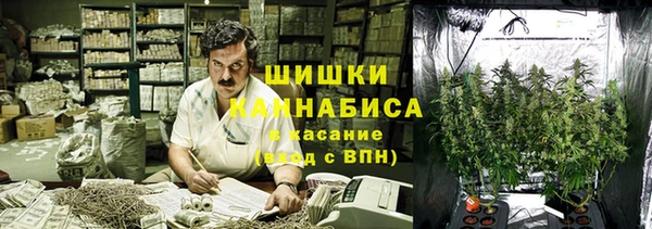 прущие крисы Строитель