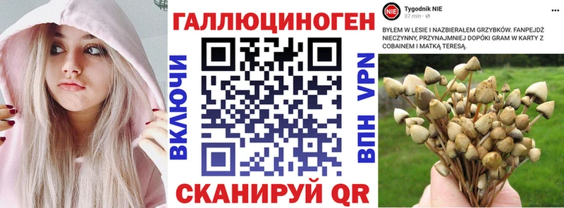 наркошоп  Новотитаровская  Псилоцибиновые грибы Magic Shrooms 
